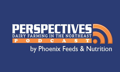 Perspectives Podcast 005 – Lt. Governor Phil Scott