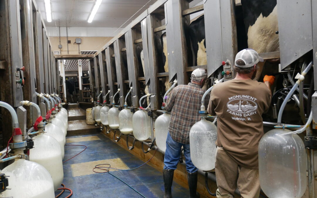 Monument Farms Dairy Set to Grow Their Beloved Vermont Milk Brand