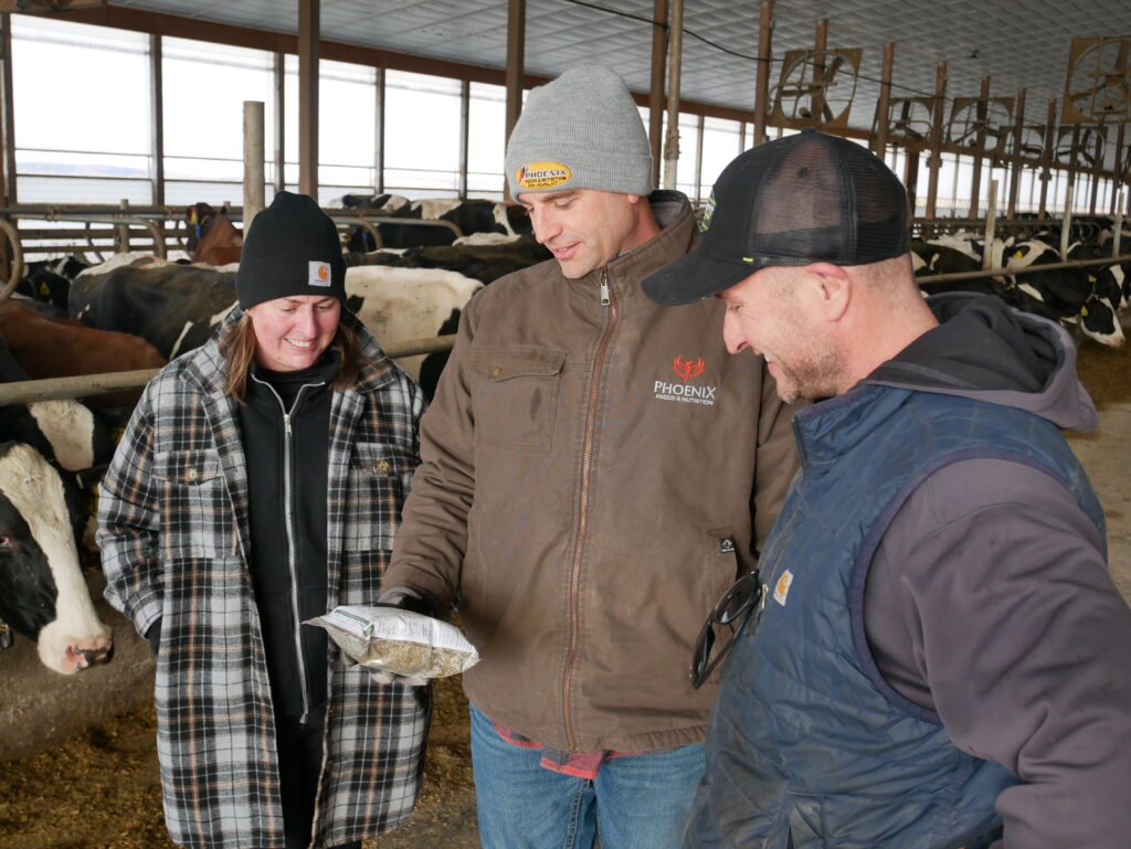 Farmers looking at feed sample with nutritionist